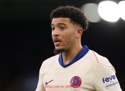 华体会hth登录入口-意甲球队队徽含义图片及背后文化解析