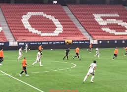 华体会hth登录入口-《德甲联赛中降级的球队名单与近年变化趋势统计》